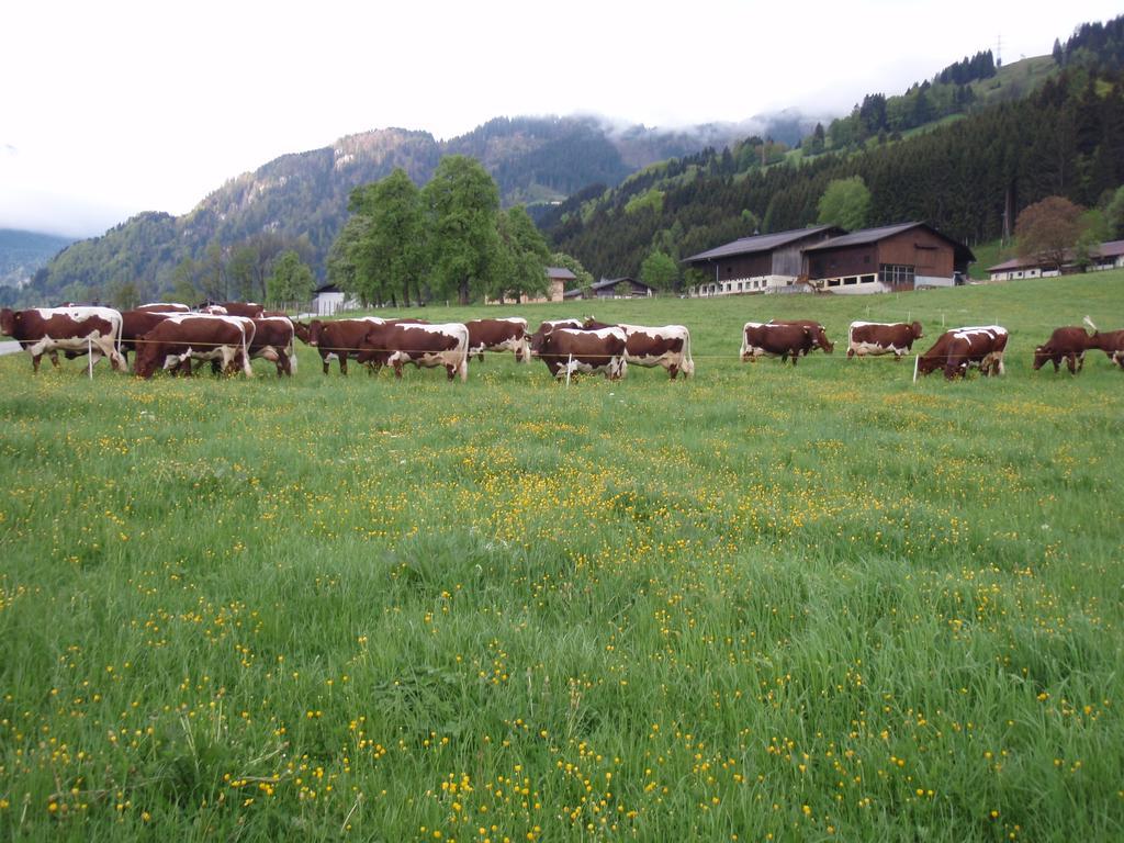 Palfnerhof Appartements Sankt Johann im Pongau Εξωτερικό φωτογραφία