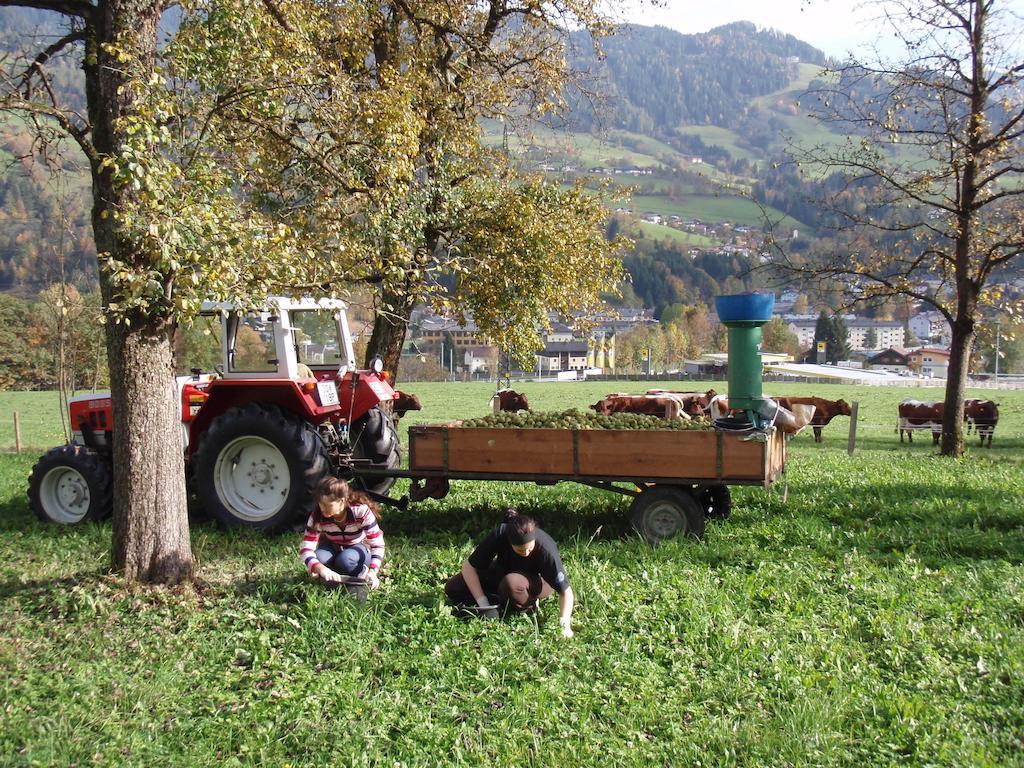 Palfnerhof Appartements Sankt Johann im Pongau Εξωτερικό φωτογραφία